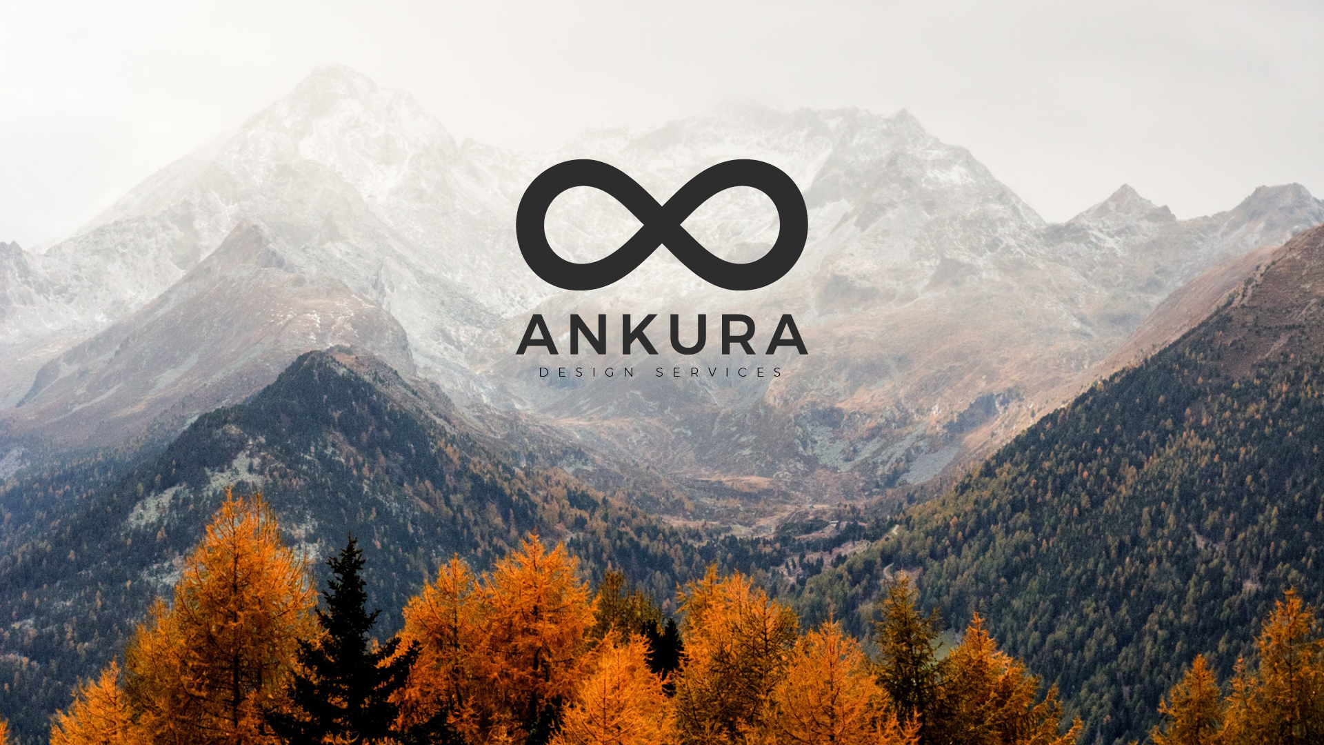 Ankura Website Design